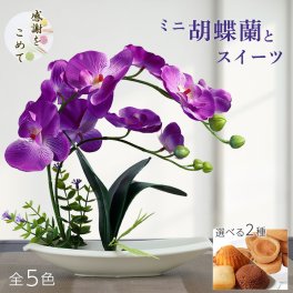 胡蝶蘭 造花 発表会 誕生日 プレゼント ギフト 還暦祝い 花 花束 らん 蘭 コチョウラン 誕生日プレゼント 祖母 開店祝い 引越し祝い プレゼント友達 誕生祝 ミニ 洋菓子 ケーキ 焼菓子 個包装 フラワーギフト 記念日 退職 定年退職 定年 転勤 記念品 お祝い ran 花 鉢  花とスイーツ お返し ギフトセット お悔やみ お供え 仏花 還暦 敬老 送料無料