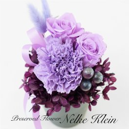 母の日 花 プリザーブドフラワー Nelke Klein ネルケ クライン カーネーション 青 紫【ギフト プレゼント アレンジ】[md][kd]