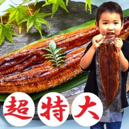 超特大うなぎ蒲焼き1尾セット (1尾あたり350g-430g) 訳あり 特製たれ & 山椒付 訳あり うな丼 うな重 ひつまぶし 土用の丑の日 スタミナ 鰻 ウナギ