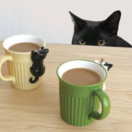 にらめっこ猫マグ