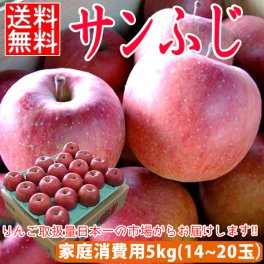 【家庭消費用】サンふじ 約5kg前後 14個～20個入 送料無料 りんご 5kg 訳あり 訳アリ 青森 産地直送 サンフジ 家庭用