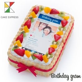 インスタグラム風写真ケーキ S フルーツ生クリーム 21×14cm バースデーケーキ 誕生日ケーキ フォトケーキ イラスト プリント 6～8名様用 映える 披露宴 パーティ サプライズ 冷凍