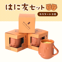 はにわぷりん【カスタードはに友セット】１個箱入りアソートセット 3個入り カスタード