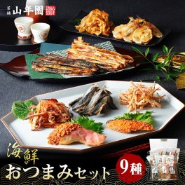【海鮮おつまみ 珍味 9種類セット】金目鯛明太子 鮭明太子 殿様するめ ほたて焼貝ひも イカゲソほぐし焼 ふんわり焼きす 食べる焼飛魚 炙りいわし つまみあご 誕生日プレゼント 出産内祝い お返し 敬老の日 2026 男性 女性 食べ物 香典 父 母 お酒 魚