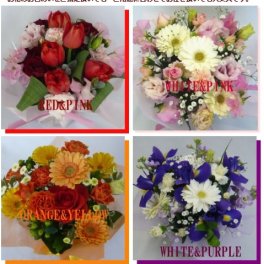 【送料無料!】 選べる色！季節のアレンジメント★ 【翌日お届け】 【誕生日】 【結婚祝い】 【結婚記念日】 【アレンジメント】 【記念日】 【お祝い】