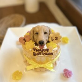 さつまいものシャルロット 3 わんちゃん用（犬）ケーキ 誕生日 お祝い