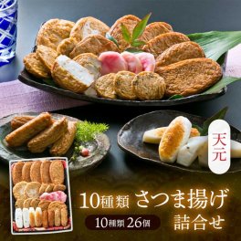 鹿児島串木野10種さつま揚げ詰合せ【天元】