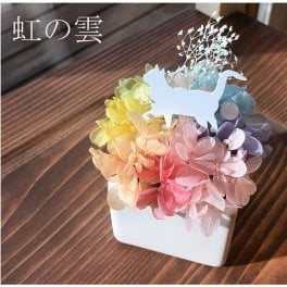 プリザーブドフラワー「虹の雲S」ギフト 虹の橋 プレゼント 花  お悔み お供え 仏花 メモリアル ペット 犬 猫 うさぎ 母の日