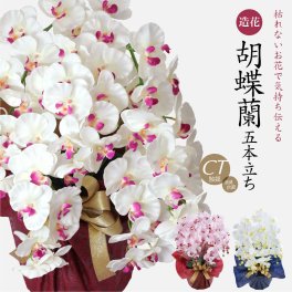 【胡蝶蘭 造花 お祝い】胡蝶蘭 大輪 5本立ち CT触媒 光触媒【ギフト 母の日 花 誕生日 プレゼント 開店 開院祝い お見舞い アートフラワー】[md][kd]