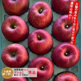 長野県産りんご サンふじ 秀品 ギフト 贈答用 お歳暮 長野県産 信州産 果物 林檎 フルーツ 贈答 お取り寄せ 産地直送 母の日 父の日 敬老の日 還暦祝い お中元 お歳暮 お祝い ギフト 贈り物 グルメプレゼント 冬ギフト クリスマスプレゼント フルーツ 無添加【送料無料(一部地域除く)】