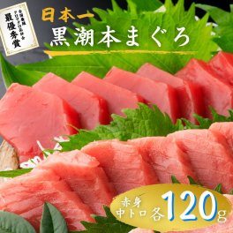 最優秀賞受賞 黒潮本まぐろ 赤身・中トロ 各120g セット 高知 土佐 大月町 冷凍 養殖 本鮪 黒鮪 マグロ 丼 刺身 寿司 ギフト プレゼント 化粧箱 自宅用 お中元 御中元 お歳暮 御歳暮 母の日 父の日 敬老の日 その他魚介類・水産加工品