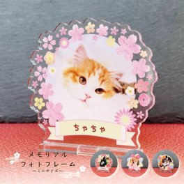 写真入り ペットフレーム 和風シリーズ｜選べる4種 ミニサイズ 犬 猫 愛犬 愛猫 ペット メモリアルグッズ 写真 かわいい オーダーメイド オリジナル 遺影 仏具 位牌 ペット供養 記念 記念品 文字入り フォト 思い出 手元供養 供養 鳥 うさぎ 金魚 カナリア トイプードル チワワ ハムスター 写真立て アルバム ペットロス 名入れ ペットグッズ プレゼント ギフト 贈り物