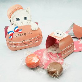猫型ニャカロン ピンク