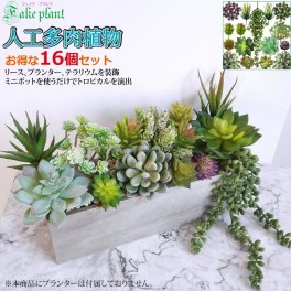 人工多肉植物 フェイクグリーン 16個セット 鉢植え リアル 装飾用 フェイク植物 人工アロエサボテン 多肉植物 茎 フェイク多肉植物 送料無料