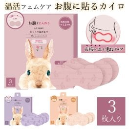 お腹に貼るカイロ 3枚入り 温活 プチギフト 冷え性 貼るタイプ 3枚入 アロマ 精油 9時間 ハーブ リラックス 退職 転勤 お礼 女性 クリスマス ホワイトデー 挨拶 退職 異動 お配り ばらまき お返し 誕生日 ラベンダー ローズ ジャスミン かわいい 無料ラッピング メッセージカード 熨斗