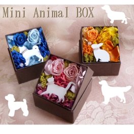 「Mini Animal Box」  プリザーブドフラワー 母の日 ギフト プレゼント 花 お祝い 誕生日 お礼 ペット お悔み お供え 仏花 メモリアル 犬 猫 うさぎ 父の日 