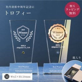 トロフィー中 Mサイズ 盾形 社内表彰・周年記念用 PS-5B クリスタル トロフィー 名入れ 記念トロフィー イベント 行事 表彰 社内表彰 会社 企業 法人 贈呈 周年記念 記念品 高級 熨斗 包装紙ラッピング ギフト