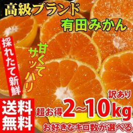 【10月中旬から順次発送予約販売】みかん 2kg~10kg 訳あり☆和歌山 有田みかん