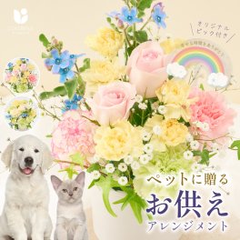 ペットに贈る バラのメモリアルアレンジメント オリジナルピック付き お供え アレンジ  フラワーアレンジメント 生花 御供 花 ペット お供え お悔やみ 法事 虹の橋 ペット 供養 犬 猫 いぬ ねこ 