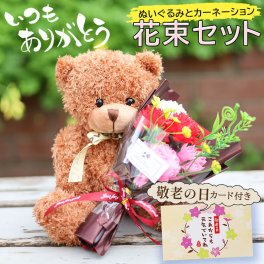 敬老の日 孫から おばあちゃん 祖母 80代 70代 花 ギフト 花束  送料無料 プレゼント 花以外 ぬいぐるみと花束セット ギフト 花 そのまま飾れる ブーケ 翌日配送 花束 ギフト 誕生日 プレゼント バラ 花瓶いらず スタンドブーケ 花 ギフト 50代 60代 70代 80代 フラワー アレンジメント