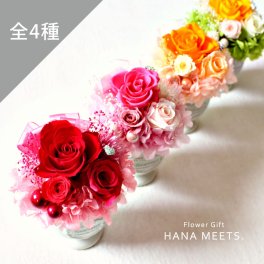 アンス プリザーブドフラワー  11時まで即日出荷（営業日） ケース入り アレンジ ギフト プレゼント 誕生日 贈り物 母の日 おしゃれ 結婚式 結婚記念日 結婚祝い お祝い 退職祝い 開店祝い 新築祝い お返し 送料無料 手づくり　ハナミーツ