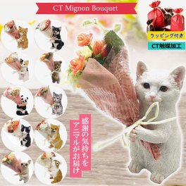 ★ラッピング付き★ プレゼント ギフト CTミニョン ブーケ 造花 動物 アニマル 置物 オブジェ 花 ギフト ct触媒 造花 ブーケ エアクリーナー 抗菌 消臭 空気清浄 猫 パンダ フラワーギフト インテリア 置き物 雑貨 ねこ お祝い 母の日