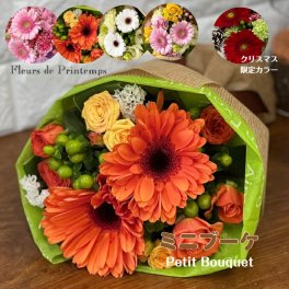 花 ギフト ミニブーケ 花束 誕生日 フラワーブーケ 送別会 生花 結婚記念日 発表会 退職祝 結婚祝 フラワーギフト 出産祝い 御祝 敬老の日 花 おまかせ花束 季節の花 プチギフト バースデープレゼント 選べるカラー【送料無料※一部地域を除く】