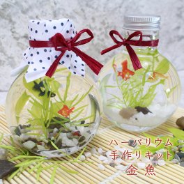 金魚 ハーバリウム 手作り キット