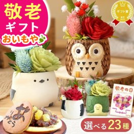 敬老の日 すぐ贈れるギフト 即日発送 誕生日 プレゼント ギフト 花 フラワーギフト プリザーブドフラワー ミニ 動物 アニマル フラワーアレンジメント バラ 薔薇 一輪 ふくろう 犬 猫 かわいい おしゃれ どら焼き 送料無料 スイーツ お菓子 和菓子 母 実母 自分の母 義母 妻 40代 50代 60代 70代 花セット 花とお菓子 2000円 3000円