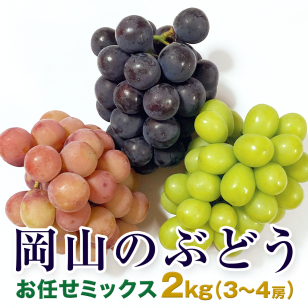 岡山産 シャインマスカットと旬のぶどう2～3種 約2kg(3～4房)入  シャインマスカット マスカット ぶどう ブドウ 種無しぶどう 葡萄