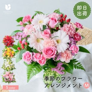 フラワーギフト カラフルガーデンフラワーアレンジメント Mサイズ 生花 花市場から直送 父の日  お祝い 誕生日 記念日