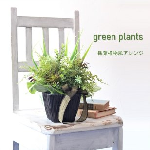 フェイクグリーン 観葉植物 完成品  造花 インテリア ギフト 贈り物 光触媒 アレンジ グリーンプレゼント 新築祝い 引っ越し祝い 開店祝い 受付 テーブル 玄関 インテリアグリーン 誕生日 プレゼント 母の日 父の日 退職祝い 結婚祝い お洒落 人気