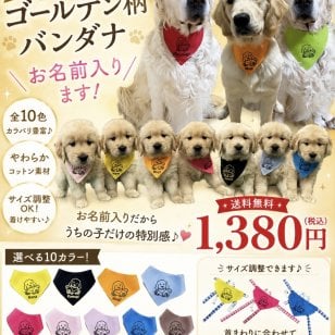 ゴールデンレトリバー柄バンダナお名前入ります ドッグウエア