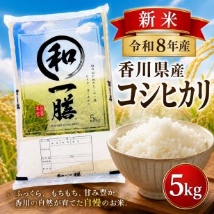 新米 令和8年産 コシヒカリ 5kg 米 香川県産 お米 5キロ コシヒカリ コシヒカリ5キロ 白米5キロ 精米5k 精米5キロ おいしいお米 美味しい米 産地直送 お米5ｋｇ 白米 お米5きろ おこめ5ｋ 白米5キロ 精米 国産 こめ コメ ギフト おいしい 冷めてもおいしい 令和7年【送料無料(一部地域除く)】
