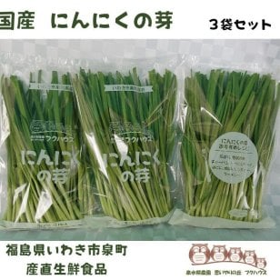 国産【にんにくの発芽３袋セット】 １袋160g 3袋セット 福島県産 国産にんにくの芽 発芽にんにく 健康野菜 スタミナ野菜 泉水耕農園思いやりの丘フクハウス 野菜