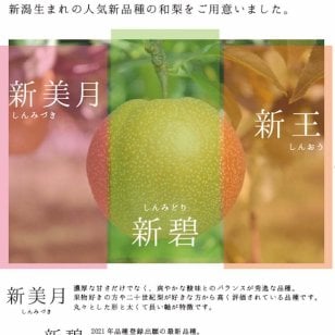 【予約：9月上旬〜随時発送】【お取り寄せご自宅用】にいがた和梨3種食べ比べ定期便 ギフト プレゼント お中元 お歳暮 出産祝い 内祝い お誕生日 御祝 御礼 母の日 父の日 敬老の日 記念日 手土産 季節の贈り物【送料無料】
