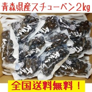 青森県産スチューベンぶどう 優品　２ｋｇ　全国送料無料