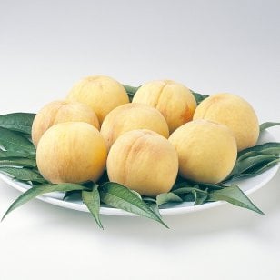 黄金桃 8玉 ※8月下旬～9月上旬お届け【送料無料】_GM212-080__フルーツ/果物/お中元