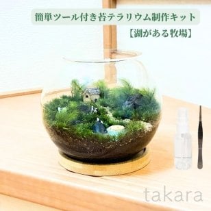 テラリウムキット 【湖がある牧場】 コケテラリウム おしゃれ 贈り物 ガラスボウル コケインテリア 母の日ギフト 手作りキット 創作キット 苔インテリア 苔リウム コケリウム 作成キット お誕生日 おうち時間 ステイホーム 敬老の日 ワークショップ 父の日 イベント