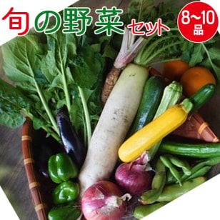 産地直送 旬の野菜セット（8～10品目）有機質肥料 野菜 詰め合わせ 奈良 和歌山 三重 送料無料