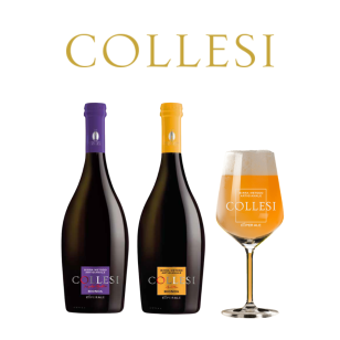 イタリア COLLESI 500ml 飲み比べ 2本セット ギフト 詰め合わせ 飲み比べセット クラフトビール プレミアムビール 海外ビール 輸入ビール 高級ビール