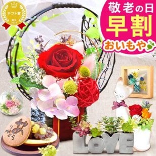 ＼早割！9/8の16時まで／ 敬老の日 誕生日 プレゼント ギフト 花 プリザーブドフラワー ガラスドーム ミニ インテリア リース 置き物 猫 バラ 一輪 花束 シャボン ソープフラワー 枯れない かわいい スイーツ お菓子 和菓子 洋菓子 メッセージ入り 2000円 3000円 もらって嬉しい センスがいい おしゃれ 40代 50代 60代 70代 80代 女性 フラワーギフト