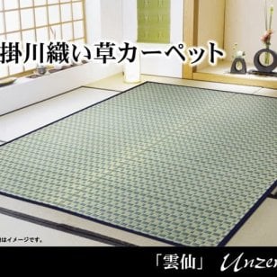 夏ラグ 夏用カーペット 掛川織 い草カーペット 『雲仙』 江戸間4.5畳(約261×261cm)