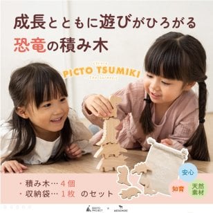 【名入れ】【かたち積み木】【出産祝い】【1歳誕生日プレゼント】【恐竜（ティラノサウルス・ステゴサウルス・トリケラトプス・ブロントサウルス）】【4個セット】木のおもちゃ/木製玩具/無塗装/ごっこあそび/収納袋入り/赤ちゃん/男の子/女の子 『ブロットプロジェクト|PICTO TSUMIKI - The Jurassic』