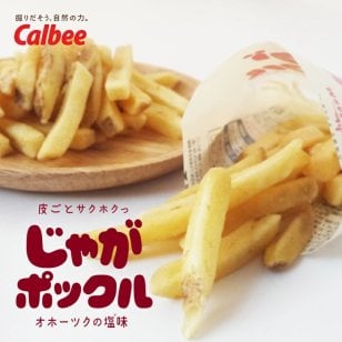 じゃがポックル 送料無料 18g×10袋入 北海道 人気 じゃがいも 北海道産 ロングセラー お菓子 カルビー ポテトファーム オホーツク焼き塩味 小袋 じゃがぽっくる ジャガポックル お土産 定番 贈り物【送料無料】