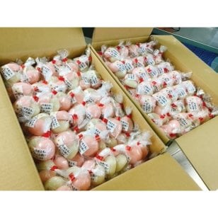 【名入れ】杵つき紅白投げ餅 35セット(50g×2個入 35組) ラベル無料 紅白餅 まき餅 餅投げ 投げ餅 餅なげ もちなげ なげ餅 棟上げ お祝い餅 もち もち米 無添加 広島県産 手作り お祝い もち お餅 おもち 祝い おめでとう ありがとう 上棟式 プレゼント