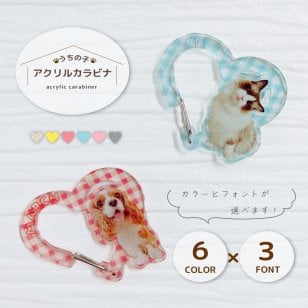 【名入れ】【アクリルカラビナ】選べるカラー6色　ペット 写真入り アクキー うちの子 ペット グッズ  送料無料