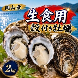 岡山産 殻付き牡蠣  2kg (約80ｇ×24個前後)生食用 三倍体 真牡蠣 ナイフ軍手付き ASAHI OYSTER カキ かき 生牡蠣 