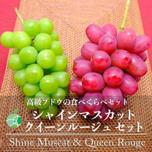 長野県産 シャインマスカット クイーンルージュ 各1房 【2房】 ｜ 1房約450-500g ｜ ぶどう 国産フルーツ 贈答用 ギフト プレゼント