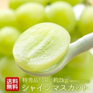 【産地直送】山形県産 シャインマスカット 特秀品 約1.5kg｜秋ギフト・誕生日・内祝い・贈答用